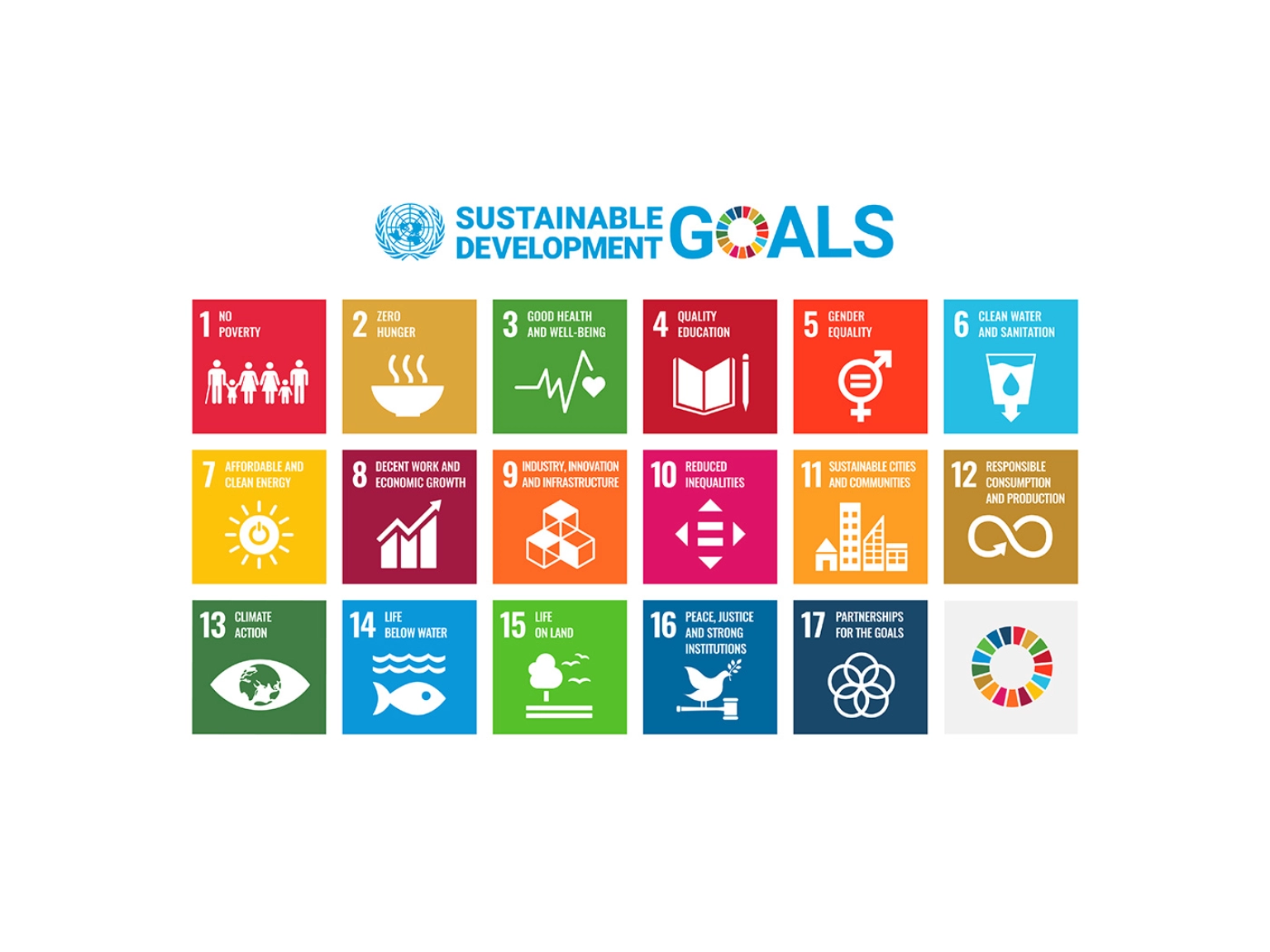 Die Sustainable Development Goals der UN