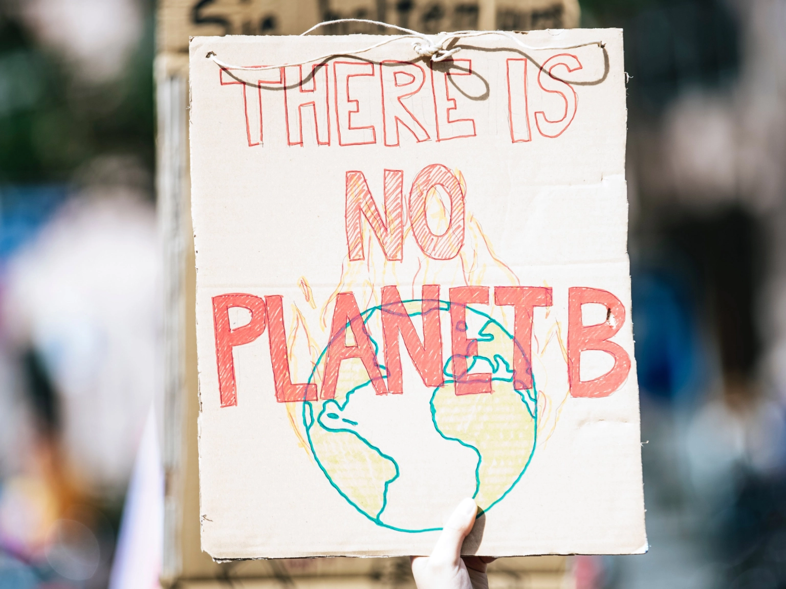 Protestplakat There is no Planet B