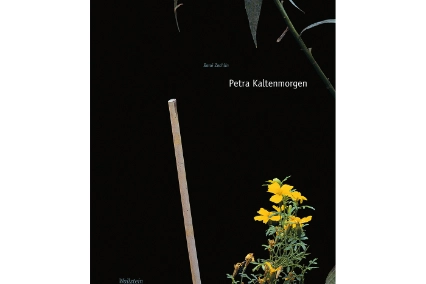 Cover Kunst der Gegenwart, Band 72: Petra Kaltenmorgen