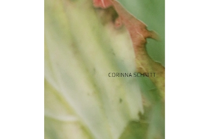 Cover Kunst der Gegenwart, Band 71: Corinna Schnitt