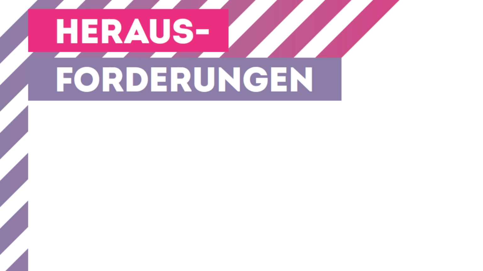 Titelansicht Jahresbericht 2024 der Stiftung Niedersachsen mit dem Titel Herausforderungen