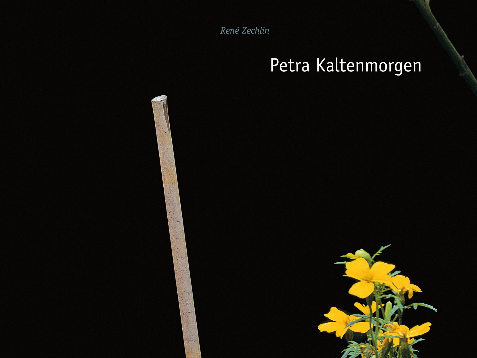 Cover Kunst der Gegenwart, Band 72: Petra Kaltenmorgen