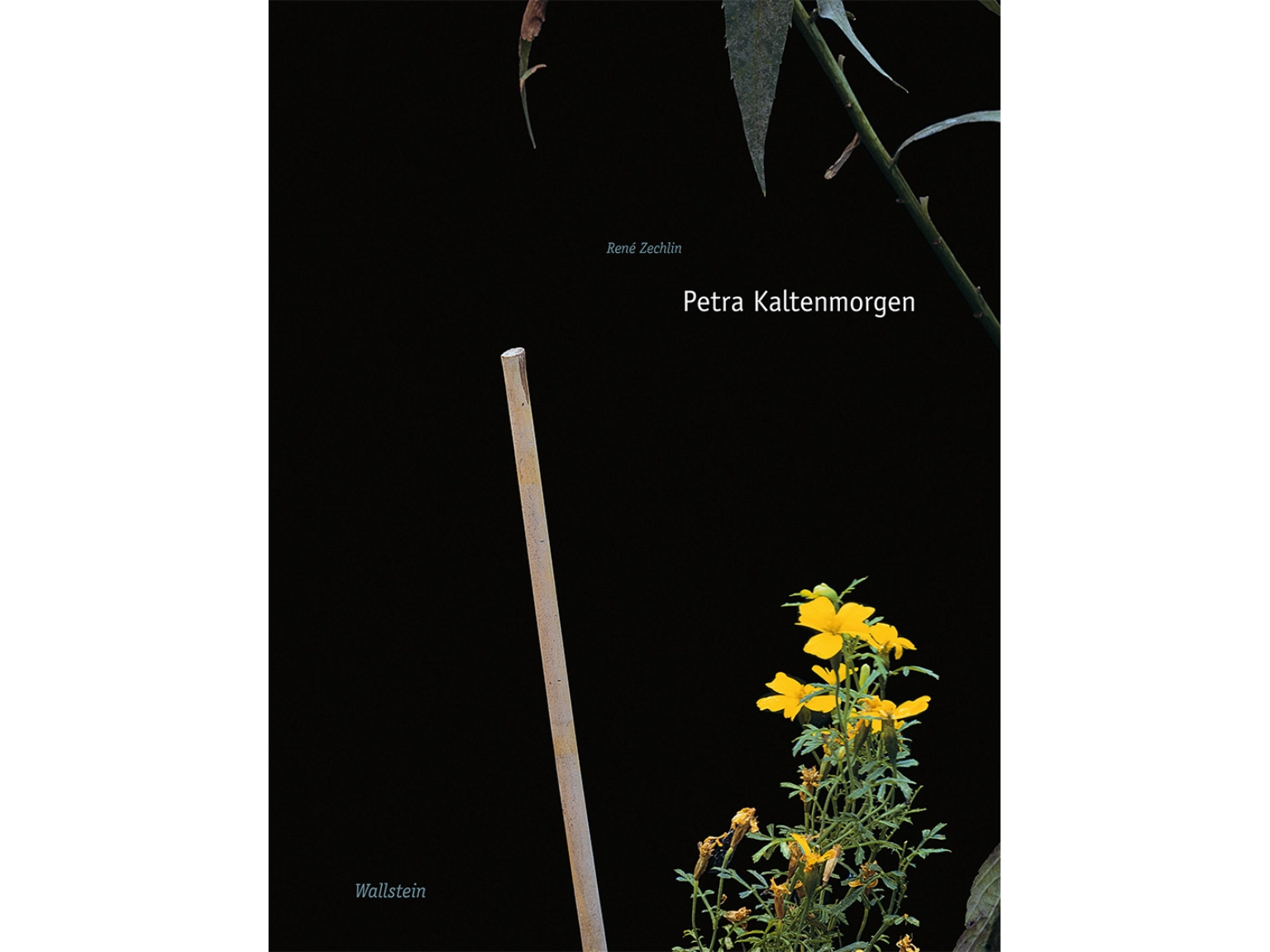 Cover Kunst der Gegenwart, Band 72: Petra Kaltenmorgen