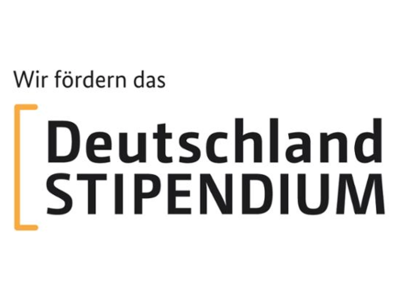 Logo Deutschlandstipendium mit dem Zusatz Wir fördern das