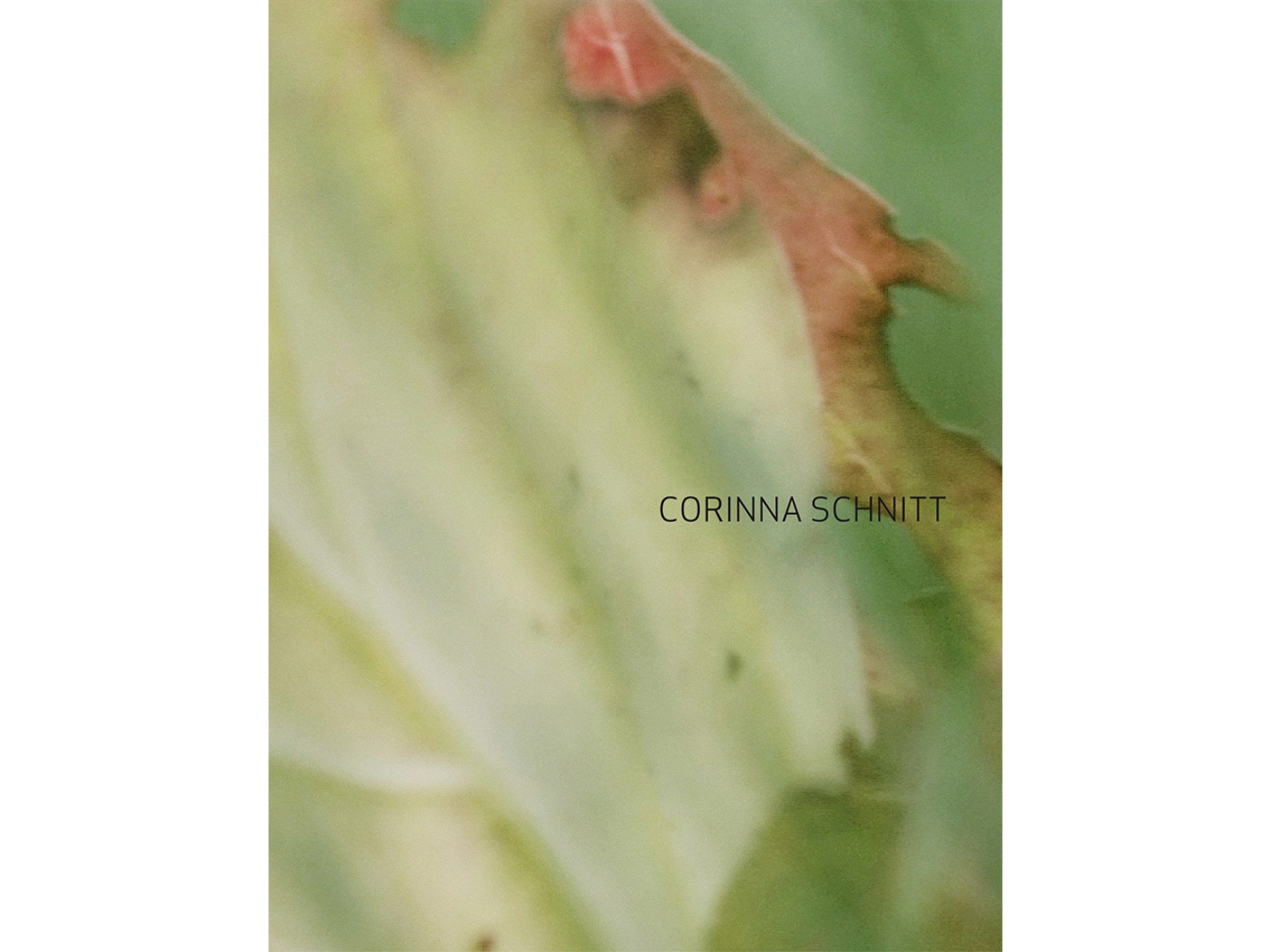 Cover Kunst der Gegenwart, Band 71: Corinna Schnitt