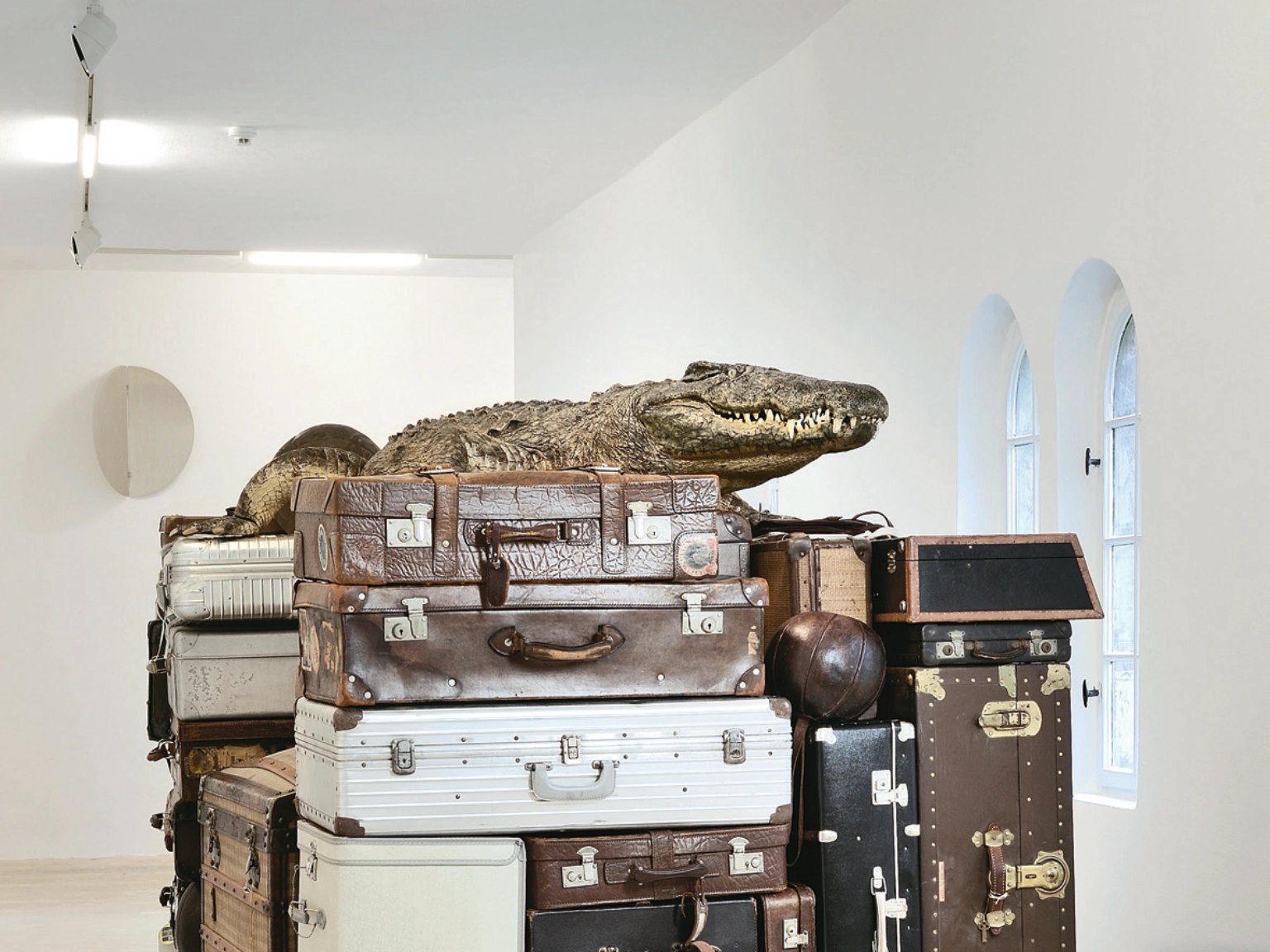 Christiane Möbus, NELLY, 2007<br/>Präpariertes Krokodil, diverse Koffer, Taschen, Transportkisten, Medizinbälle, ein Paar Kinderhandschuhe, zwei Transportwagen, Stahl, Holz, 215 x 332 x 142 cm