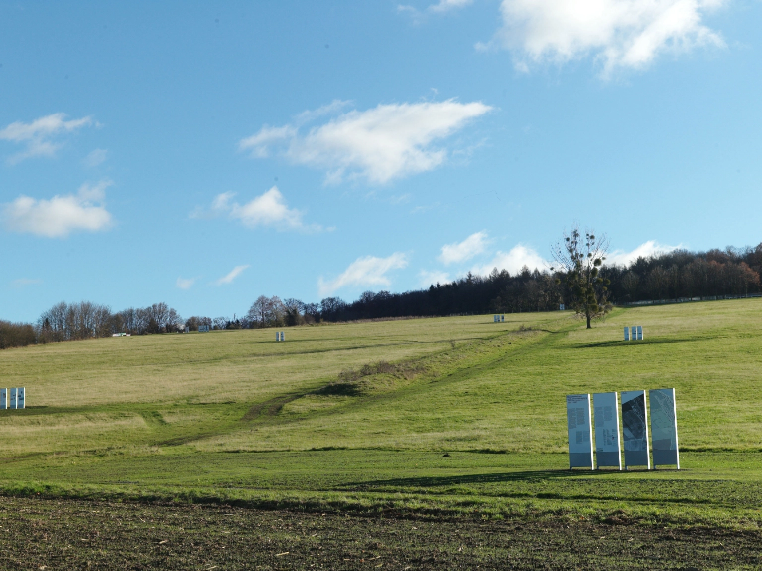 Blick auf den Bückeberg mit Infotafeln