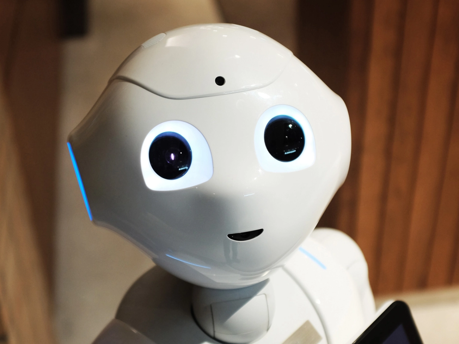 Der kindlich wirkende Roboter Pepper mit den großen Augen blickt in die Kamera.