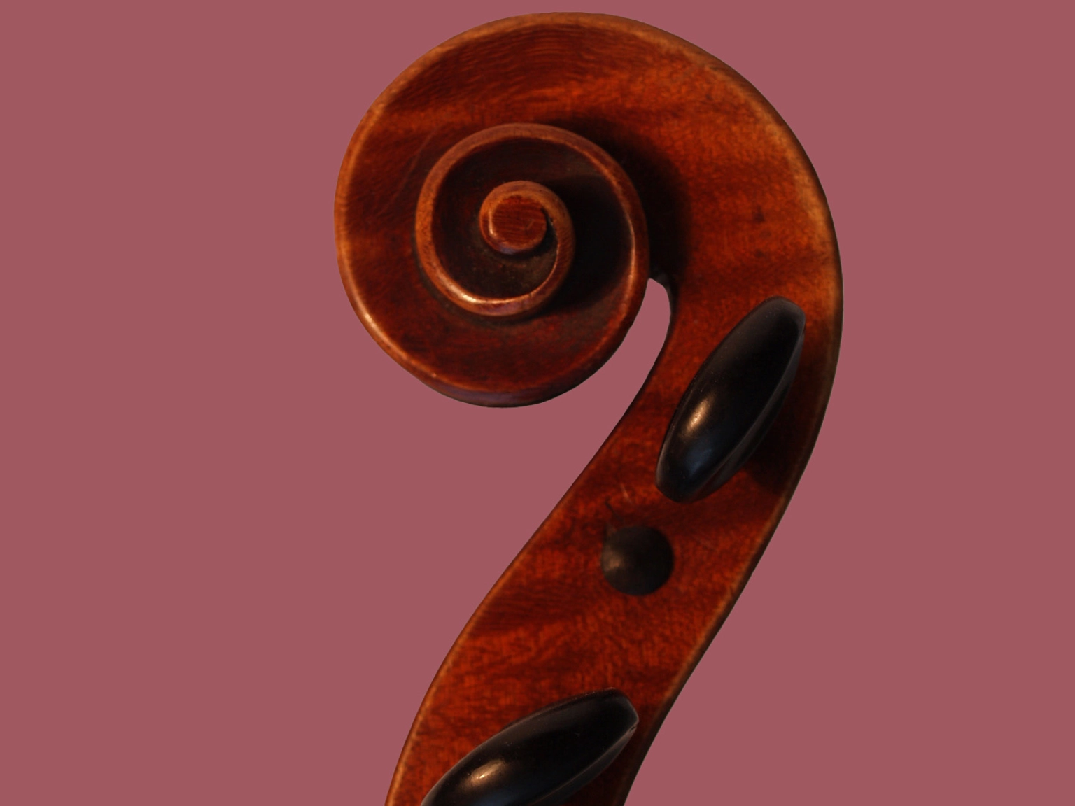 Ansicht der Schnecke einer Geige von Otto Schünemann, die über das Bernhard Hausmann-Stipendium an begabte Studierende vergeben wird.