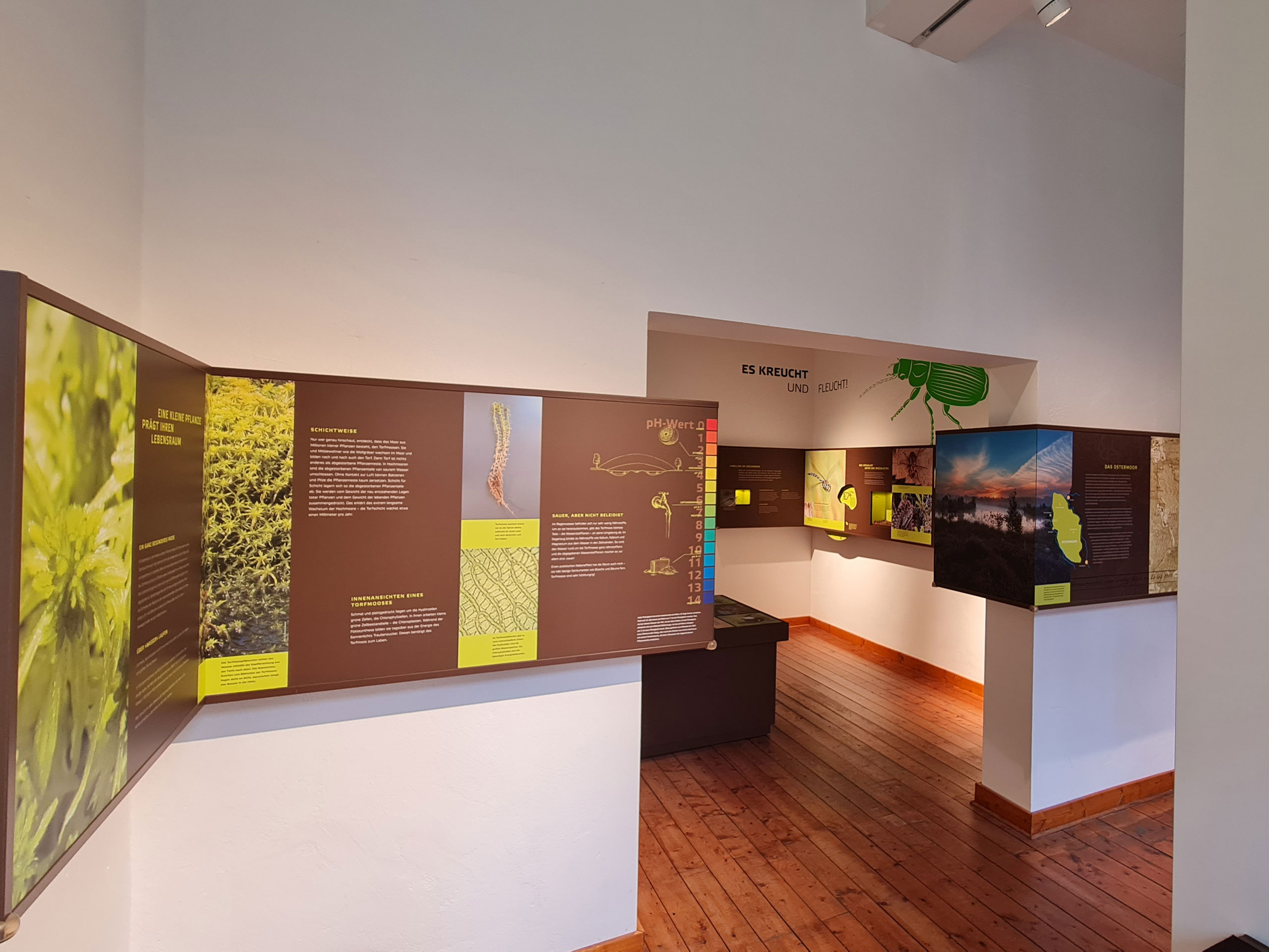 Ausstellungsimpression Leben im Moor – Tiere und Pflanzen