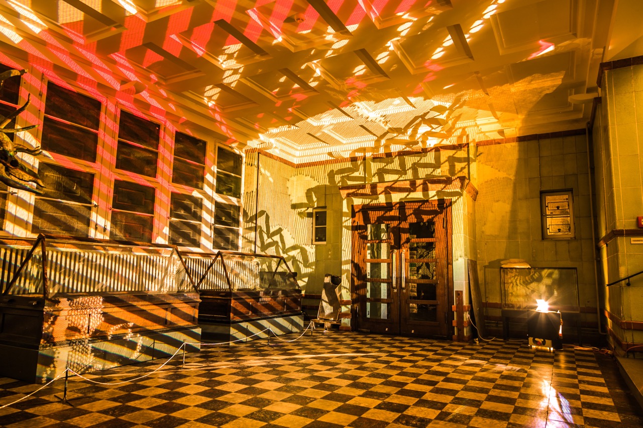 Impression der EVI Lichtungen 2024: Über Stoff und Stein von Maxim Wibornich, Liv Siri Janshen & Maite Mafe Köller im Roemer-Pelizaeus-Museum