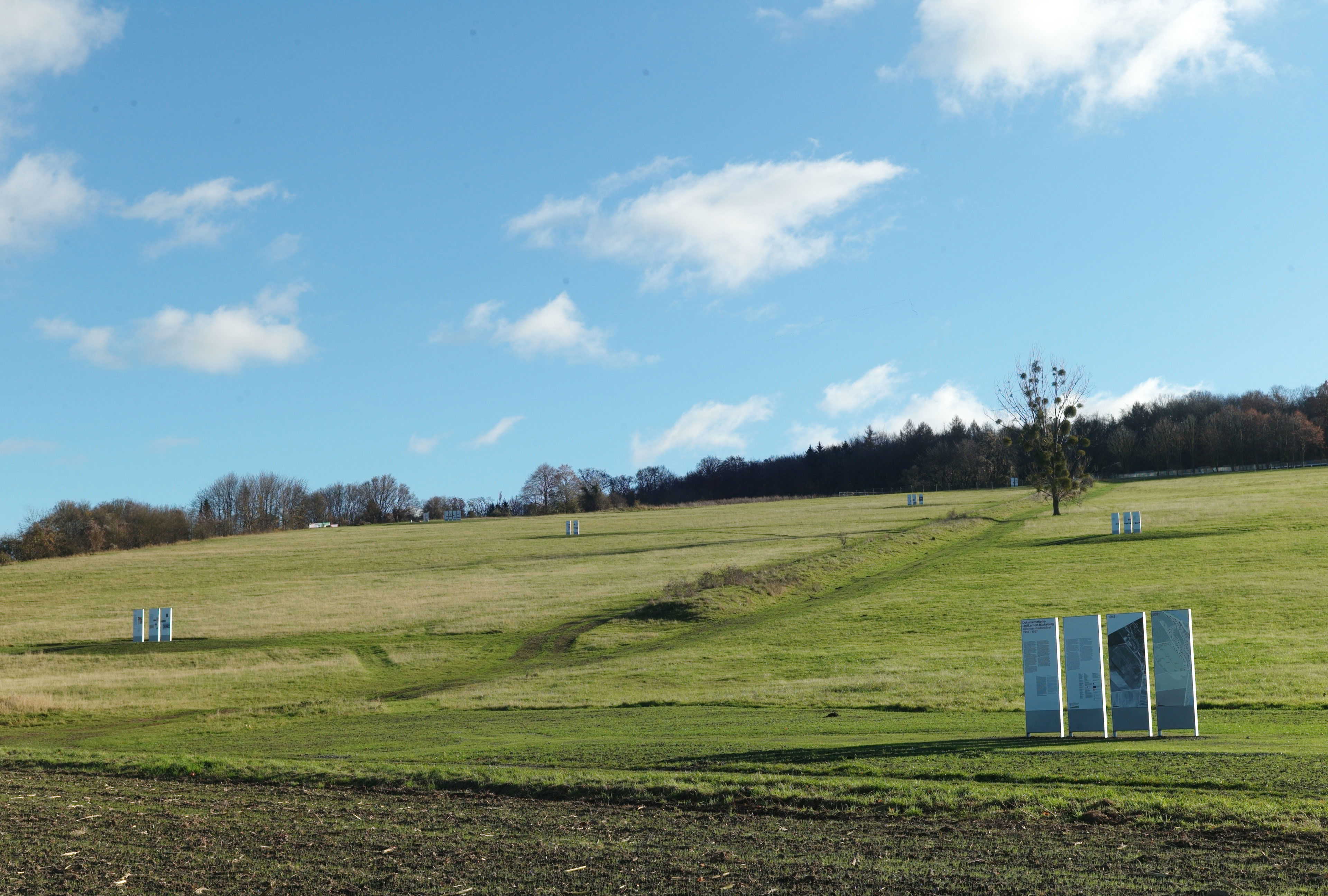 Blick auf den Bückeberg mit Infotafeln